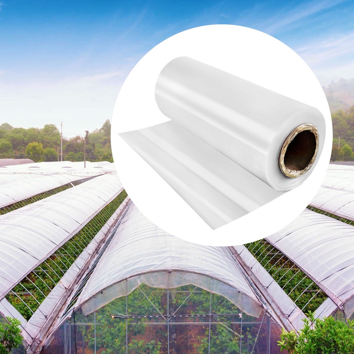 Sector Agroindustrial
