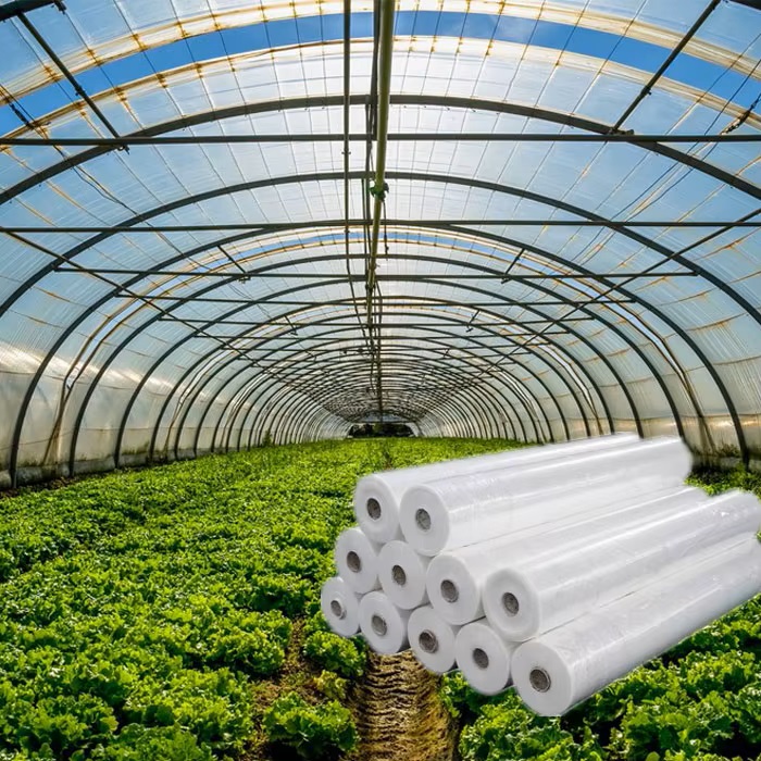 Sector Agroindustrial