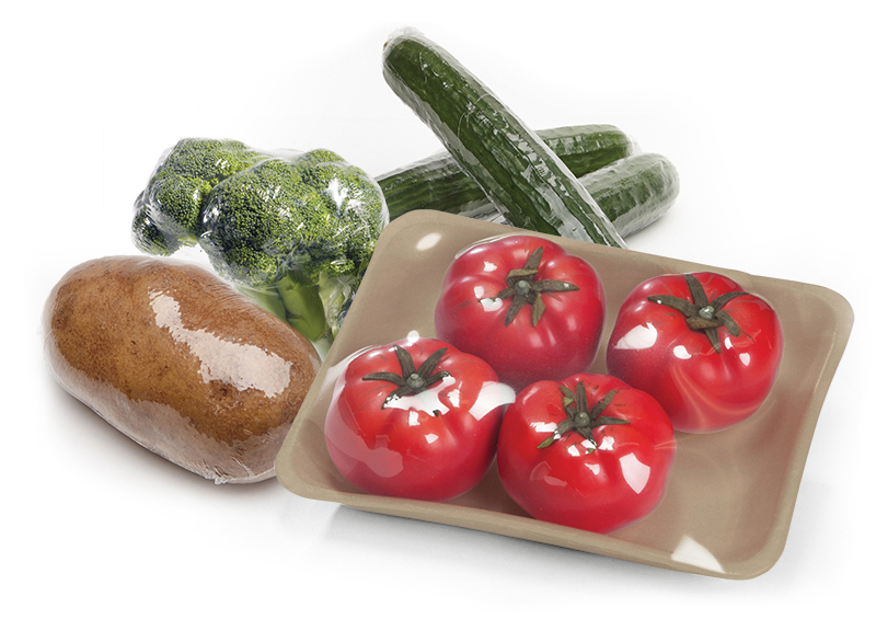 Sector Alimentario